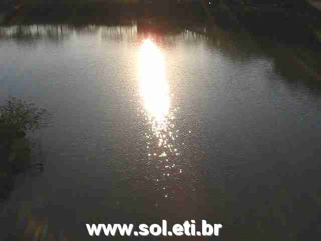 Foto Jardim Botânico da Cidade de Curitiba 2