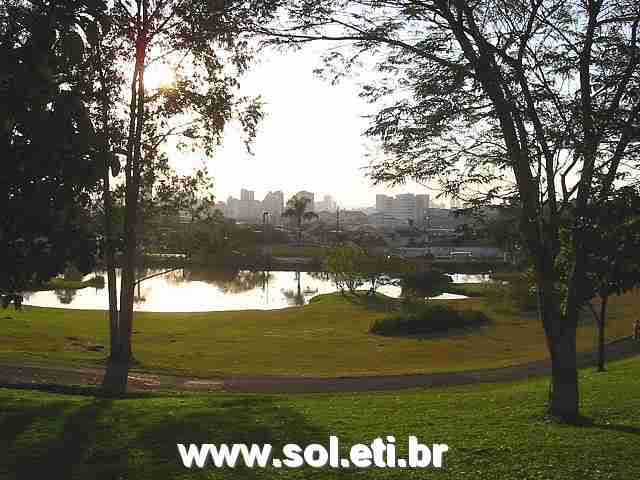 Foto Jardim Botânico da Cidade de Curitiba 7