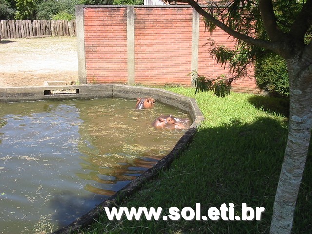 Foto Jardim Zoológico da Cidade de Curitiba 34