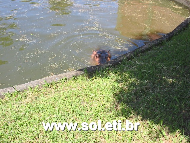 Foto Jardim Zoológico da Cidade de Curitiba 35