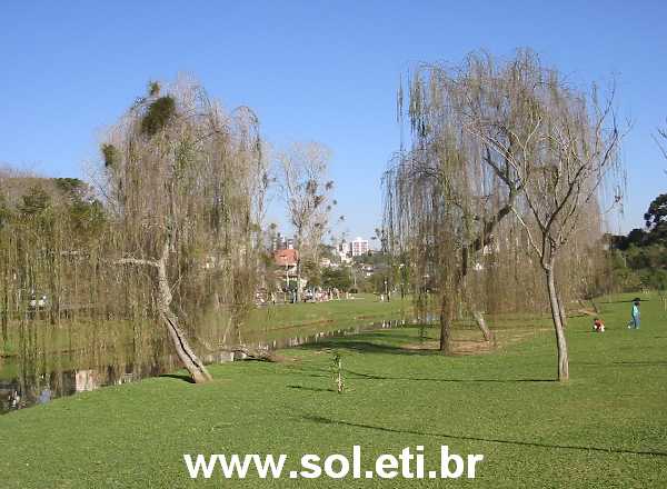 Foto Parque Barigui da Cidade de Curitiba 21