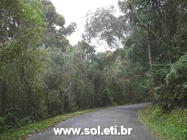 Foto Parque Passaúna da Cidade de Curitiba 8