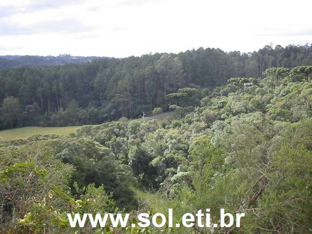 Foto Parque Tanguá da Cidade de Curitiba 8