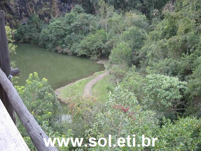 Foto da Universidade Livre do Meio Ambiente da Cidade de Curitiba 11