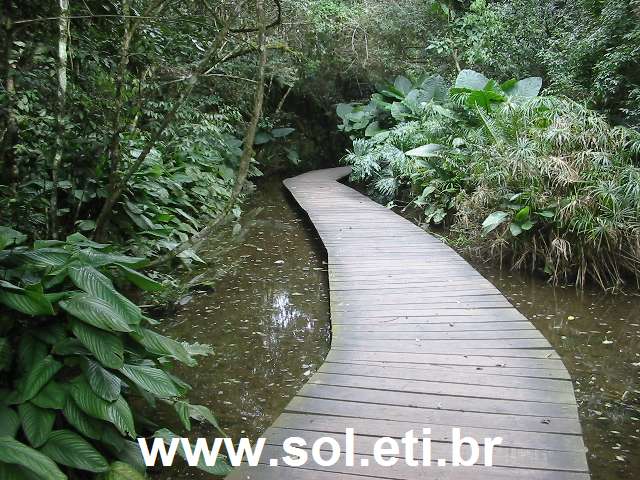 Foto da Universidade Livre do Meio Ambiente da Cidade de Curitiba 22