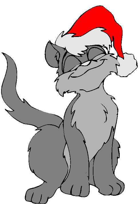 Gato Com Gorro De Natal.